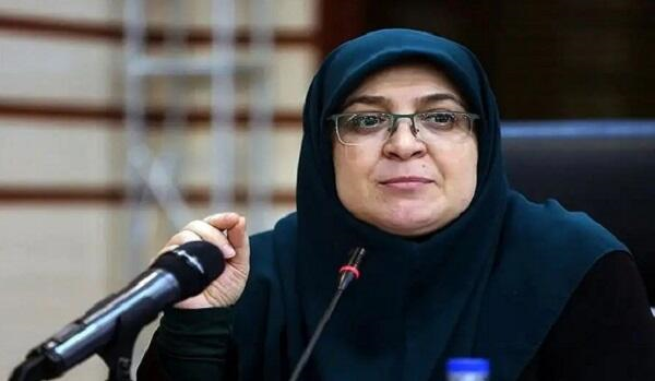 Mühacirani brifinqə xəritə ilə çıxdı: Zəngəzur dəhlizi... 